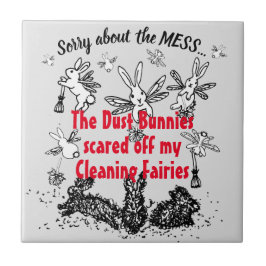 Dust Bunny Clearing Fee Rabbit Entschuldigung Mess Fliese