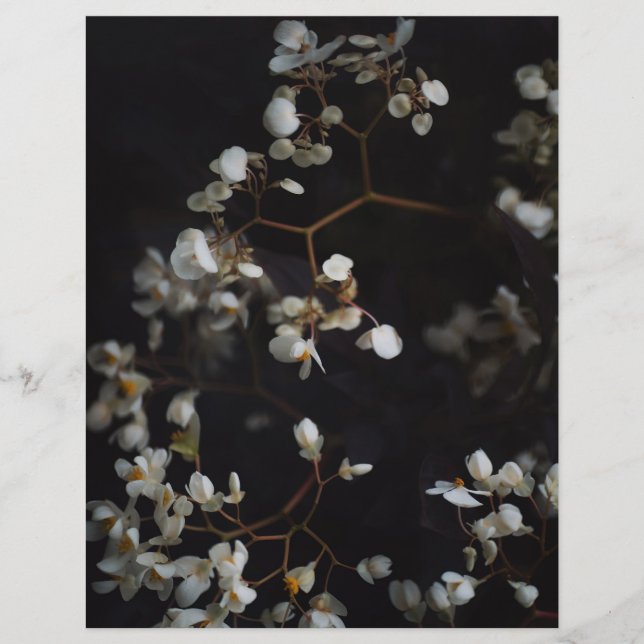 Düstere, elegante Floral Scrapbook Papier (Vorderseite)