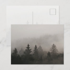 Düsterer nebliger Wald Postkarte