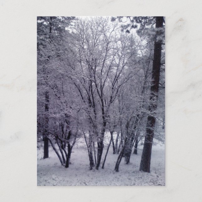 Dusterung Postkarte (Vorderseite)