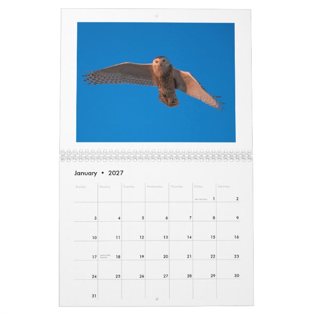 Dustin Gabriel Kalender Fotografie-2015 (Jan 2027)