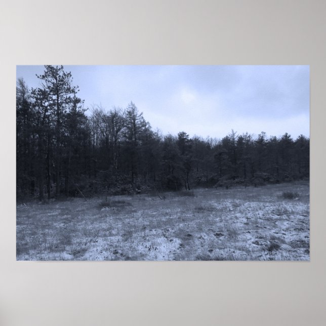 Dusting of Snow at the Bog Poster (Vorne)