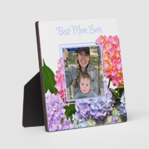 Dustrosa, blau-gelb-grüne Hydrangeas Fotoplatte