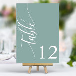 Dusty Aquamarin Modern Calligraphy Wedding Tischnummer<br><div class="desc">Mit diesen eleganten, staubigen aquamarinen Hochzeitsfeiern führen Sie Ihre Gäste zu ihren Sitzplätzen. Diese Tischnummern mit minimalistischem Design und moderner Kalligraphie fügen Ihrem Hochzeitsempfang eine Touch von Eleganz hinzu. Der weiche Hintergrund und die gepflegte, elegante Typografie sorgen für eine einfache Lesbarkeit bei gleichzeitig verstärkter Hochzeitsdekoration. Diese Tischnummern sind perfekt für...</div>