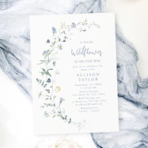 Dusty Blue Wildblume Rustic Boho Babydusche