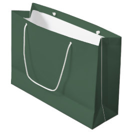Dusty Eucalyptus Green Solid Color Große Geschenktüte