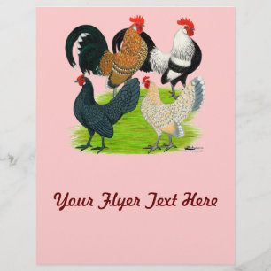 Dutch Bantam Quartett Flyer