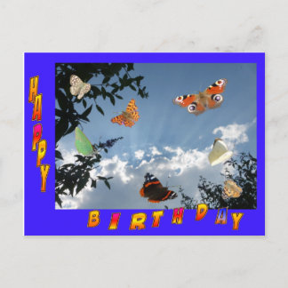 Dutch Butterfets Blue Frame Geburtstagskarte Postkarte