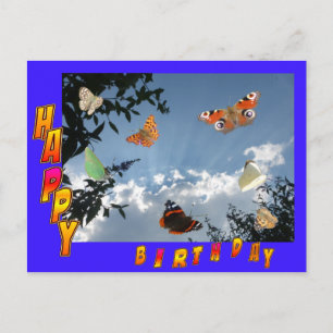 Dutch Butterflies Blue Happy Birthday Postcard Postkarte