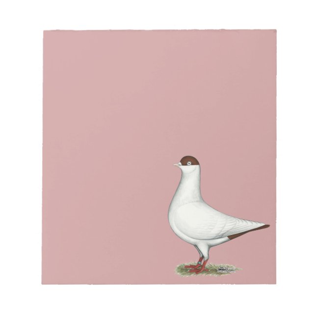 Dutch Helmet Pigeon Notizblock (Vorderseite)