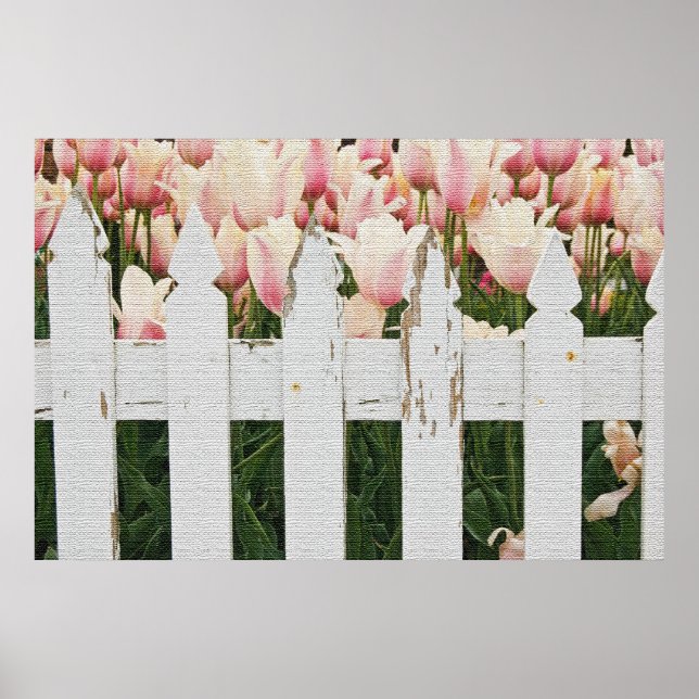 Dutch Pink Tulip Garten Poster (Vorne)
