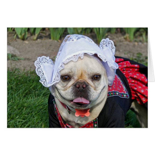 Dutch Pooch (Vorderseite (Horizontal))