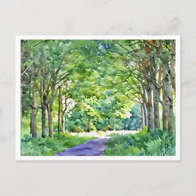 Dutch Salland Region Westerveldse Bos Forest Postkarte (Vorderseite)