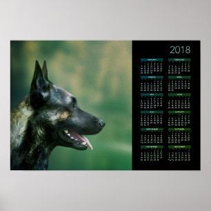Dutch Shepherd - Holländischer Kalender 2018 Poster