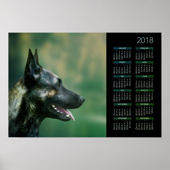 Dutch Shepherd - Holländischer Kalender 2018 Poster (Vorne)