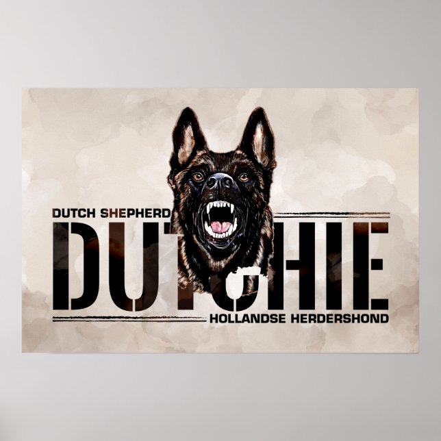Dutch Shepherd - Hollandse Herdershond Poster (Vorne)