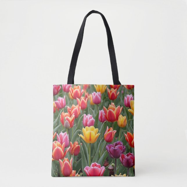 Dutch Tulips (Vorderseite)