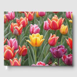 Dutch Tulips Gästebuch