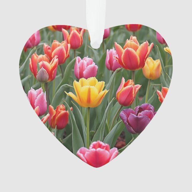 Dutch Tulips Ornament (Vorderseite)