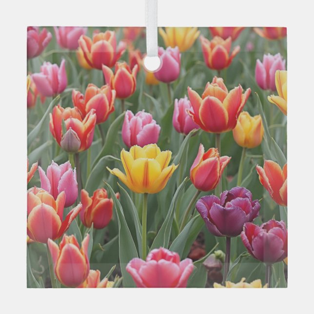 Dutch Tulips Ornament Aus Glas (Vorderseite)