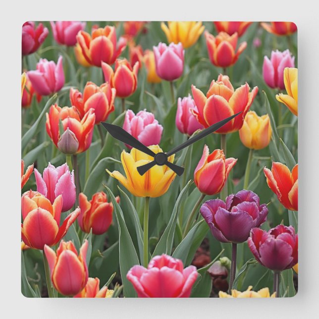 Dutch Tulips Quadratische Wanduhr (Vorderseite)