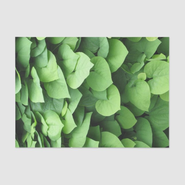 Dutchman's Pipe Green Foliage Seidenpapier (Vorderseite)