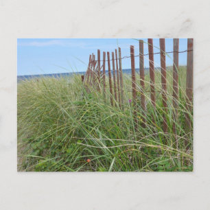 Düünen von Cape Cod Postkarte