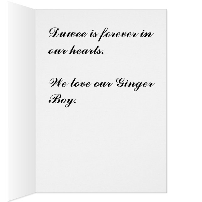 Duwee (Innen (Rechts))