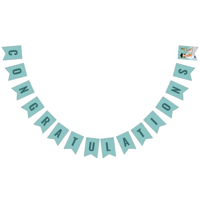 DVM-Studienabschluss für Veterinärmedizin - Gratul Wimpelkette (Alle)