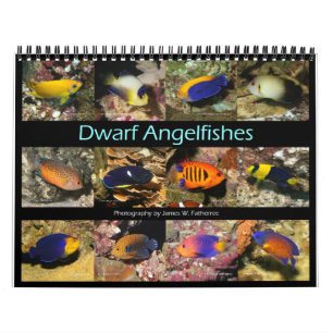 Dwarf Angelfish Wall Kalender von J.W. Vater.