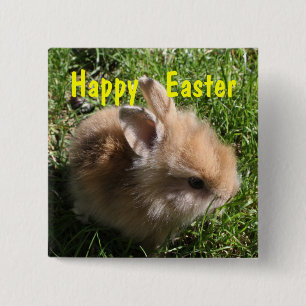 Dwarf Bunny Osterfest Button