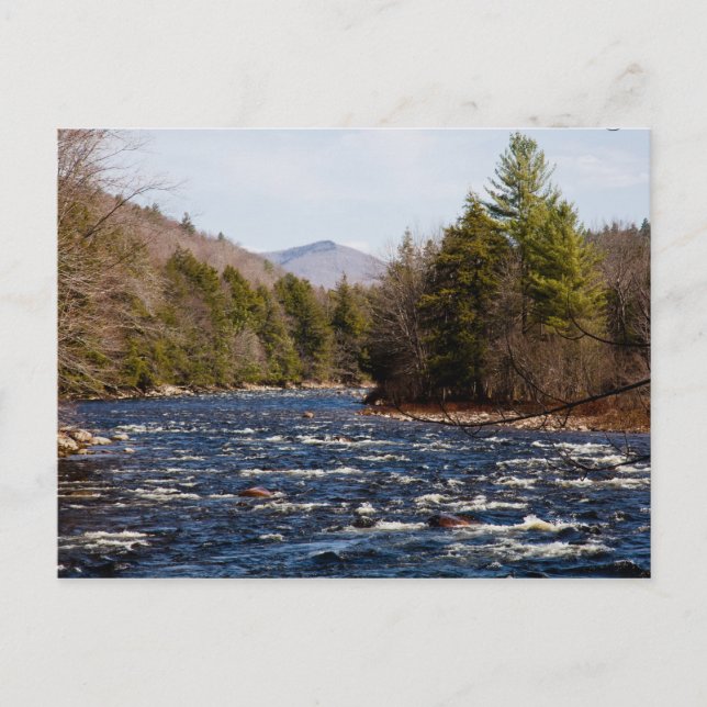 Dwight Pierre Postkarte (Vorderseite)