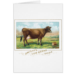 Dwights Kuh-Marken-Soda