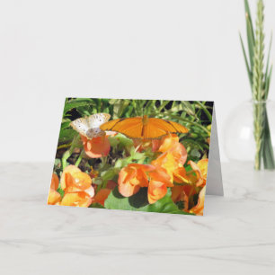 Dyas Julia und White Peacock Butterflies Gruß Karte