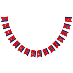 Dynamic Tennessee State Flag Graphic on a Wimpelkette
