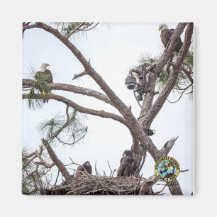 E10 & E11 + Family Magnet