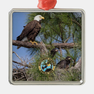 E10 E11 u. Familien-Feiertags-Verzierung Silbernes Ornament