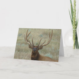 E10t Bull Elk in Velvet Head Shot Karte