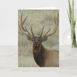 E10t Bull Elk in Velvet Head Shot Karte
