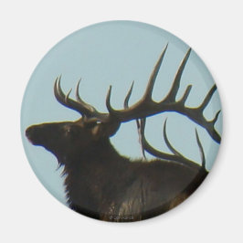 E11 Bull Elk Silhouette Head Shot Magnet