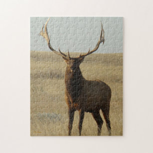 E13 Bull Elk Gras in Geweihen Puzzle
