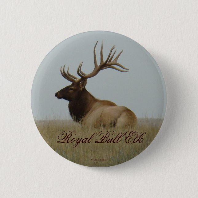 E15 Bull Elk Big Bull Lay Button (Vorderseite)