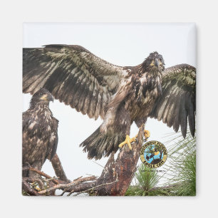 E15 E16 Gedenkmagazin Magnet