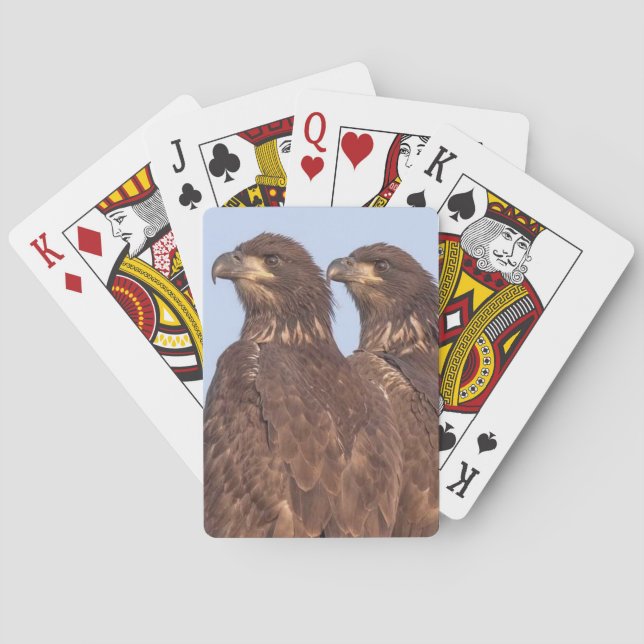 E17 und E18 Spielkarten (Rückseite)