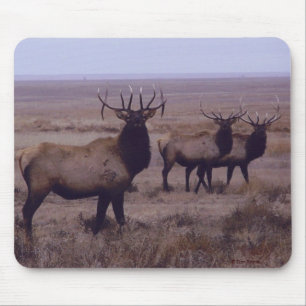 E19 Bull-Elch mit doppelten Sprossen Mousepad