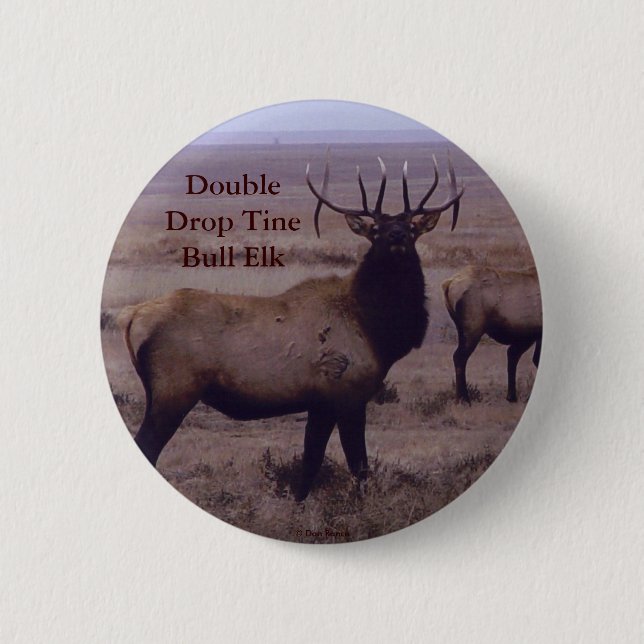 E19 Bull Elk Double Drop Tines Button (Vorderseite)
