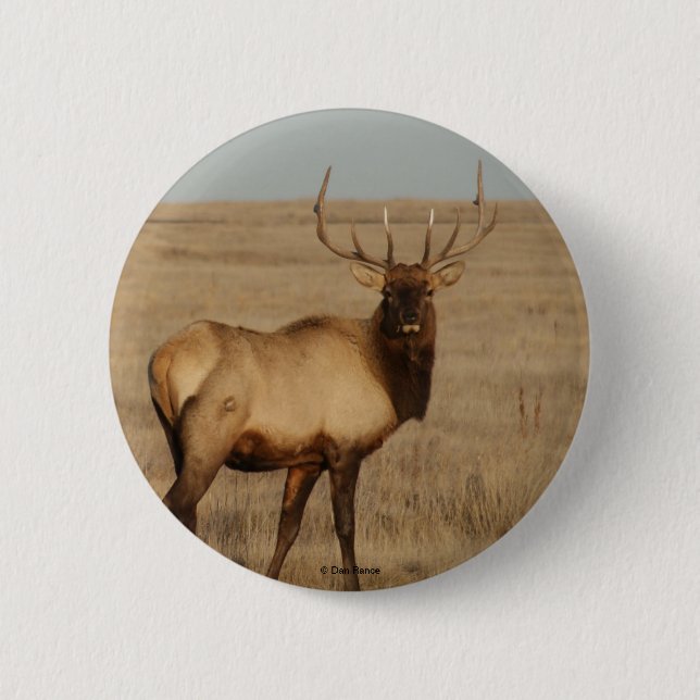 E1 Bullen-Elch Button (Vorderseite)