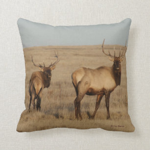E1 Stier Elche Kissen