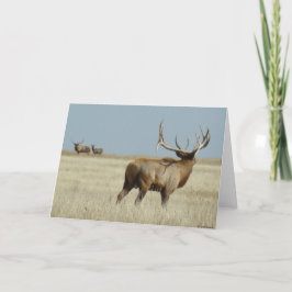 E20 Bull Elk Challenger Karte