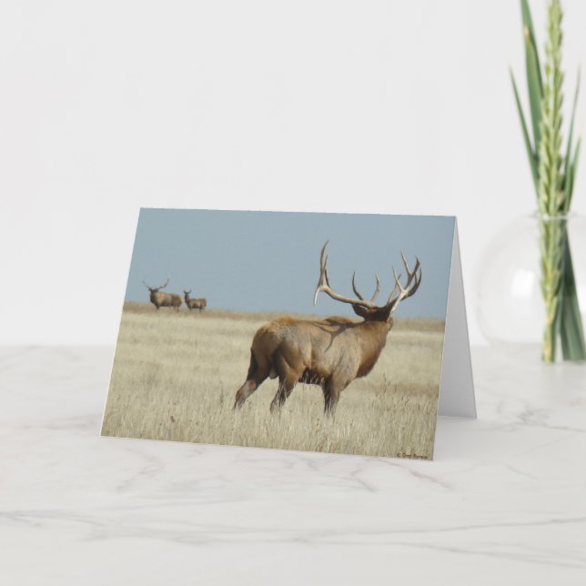E20 Bull Elk Challenger Karte (Vorderseite)